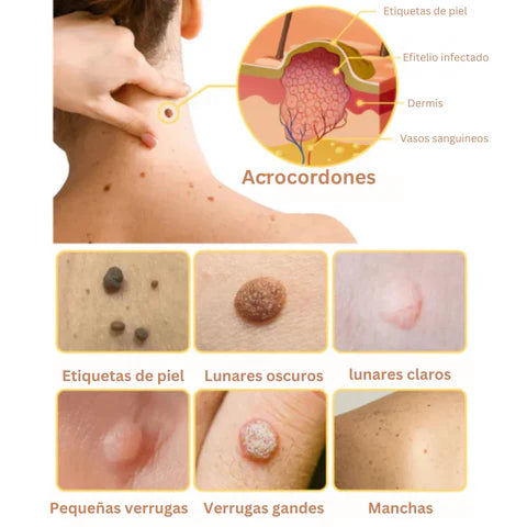 Producto