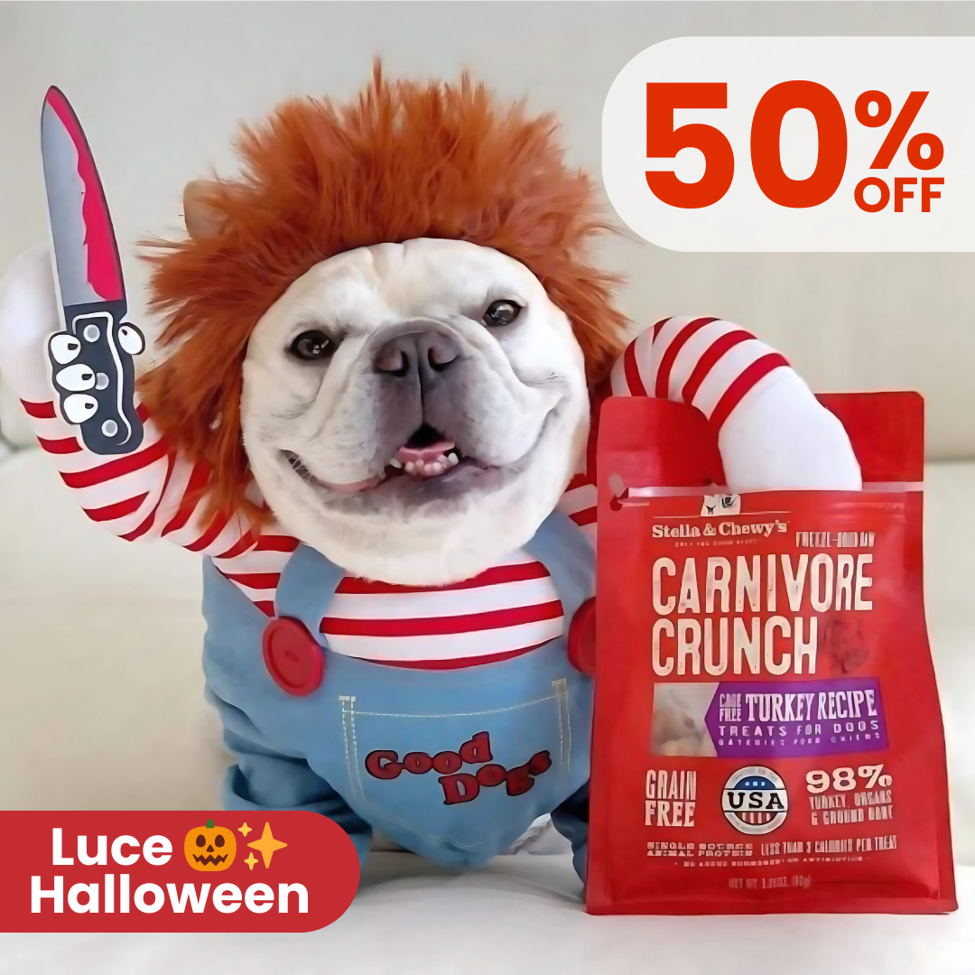 DISFRAZ CHUKY🐶🗡️ – Roba miradas Halloween👀