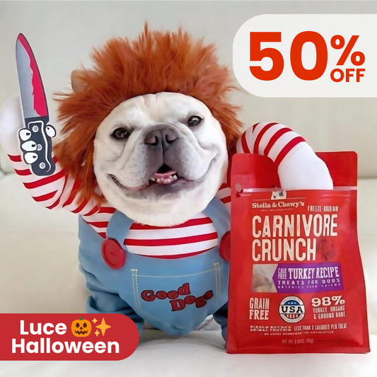 DISFRAZ CHUKY🐶🗡️ – Roba miradas Halloween👀