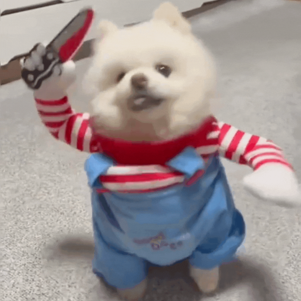 DISFRAZ CHUKY🐶🗡️ – Roba miradas Halloween👀